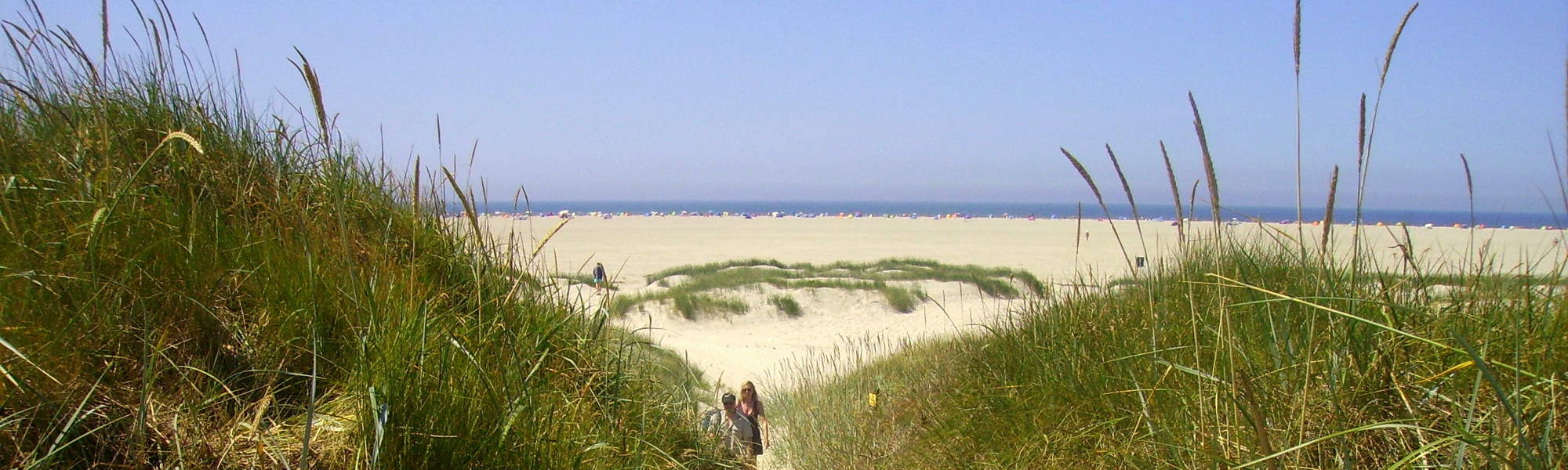 Camping Silbermöwe: Aussenfoto Strandblick zwischen Dünen hindurch über den Strand bis zur Nordsee