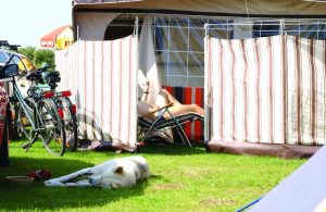 Campingplatz Urlaub mit Hund: Schlafender Hund vor dem Vorzelt