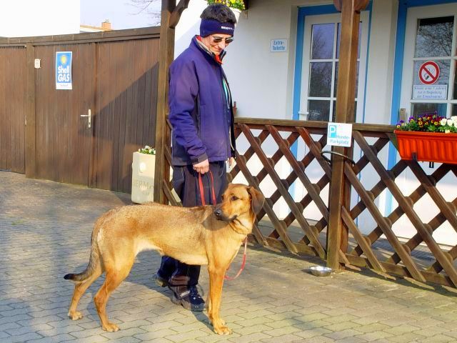 Camping und Hund: Mann mit Hund vor der Hundtränke auf unserem Campingplatz